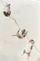 Thumbnail of postcard 'Mice on a string'